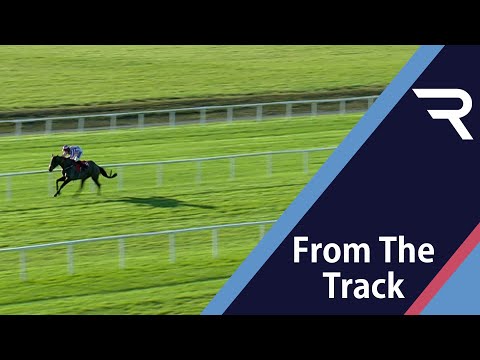A HUGE upset! 1-14 favourite Kilcruit suffers a shock defeat on his hurdling debut at Cork