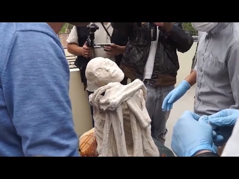25 фото, в которые трудно поверить