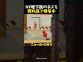 NY地下鉄のネズミ戦利品で帰宅中