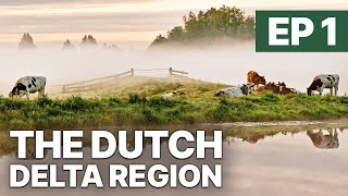 THE DUTCH DELTA REGION - EP 1 | WILDLIFE OF HOLLAND