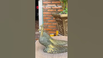 Cặp chim công bằng đồng #đồcổ #đồđồngxưa #phongthuy #trendingshorts #đồđồngnguyễnnghi