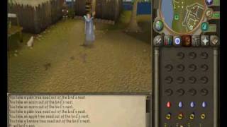 Runescape: Guide on getting Bird Egg for Summoning