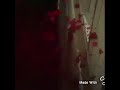 يابكرا شو مخبيلي يا أيامي اضحكيلي حالات واتس أب يابكرا شو مخبيلي يا أيامي اضحكيلي حالات واتس أب