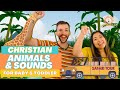 Animals and sounds for littles  christian learning for babies and toddlers  david and goliath