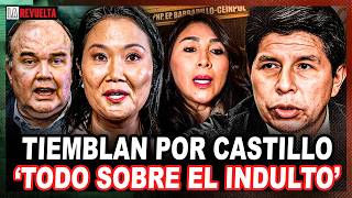 VOCERO DE PEDRO CASTILLO EN VIVO | ONPE AL 99% | LA REVUELTA 🔴