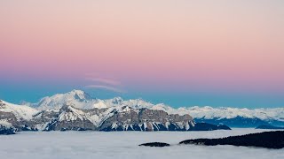 Early walk in the morning (Nature Visualizer)