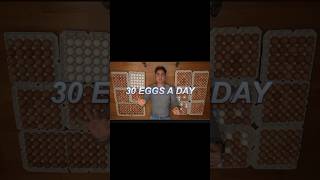 I ate 30 eggs a day for 30 days