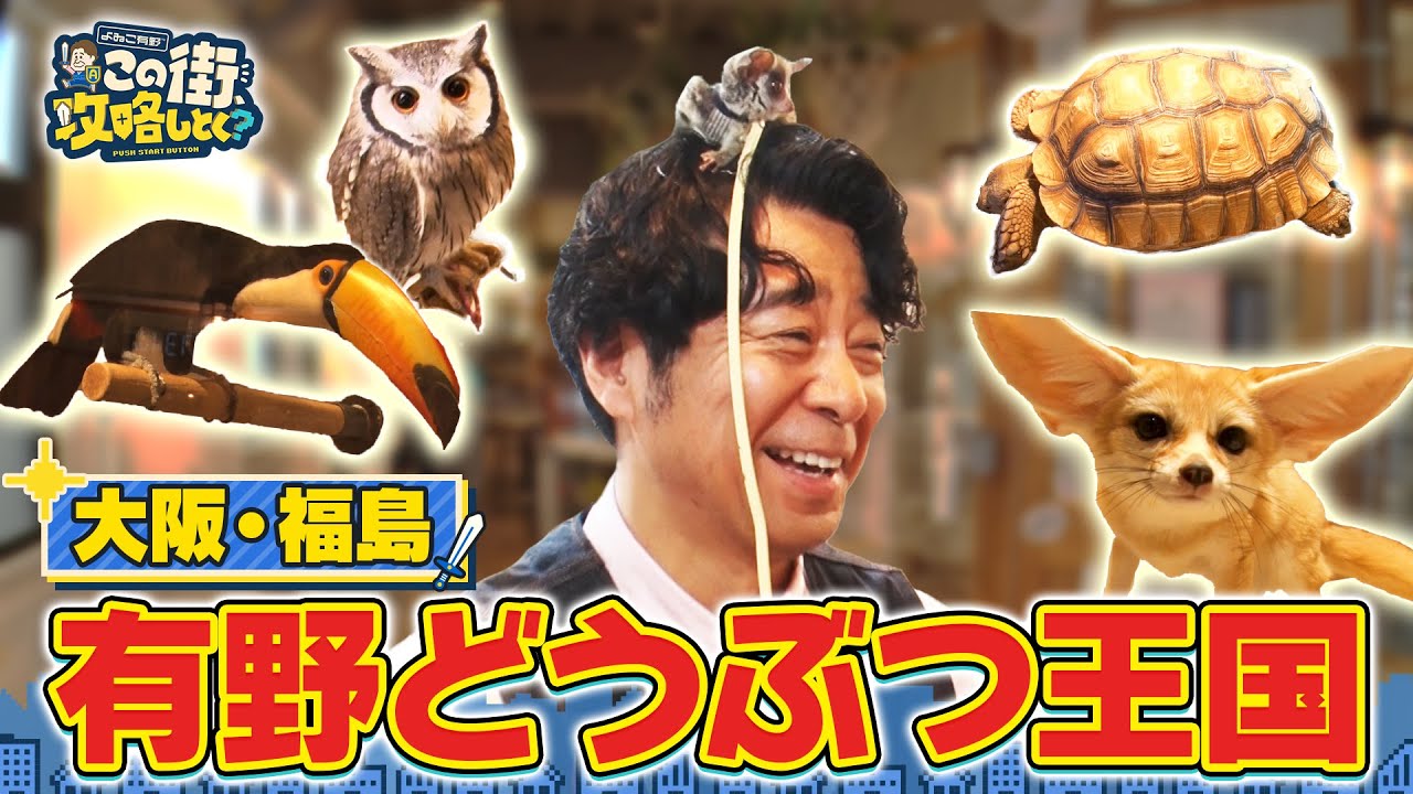 【よゐこ有野×大阪】都会に希少生物！“有野どうぶつ王国”／大阪の街の“攻略法”を探す街ブラ