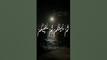 سورة البقرة - د/عادل أحمد زكي