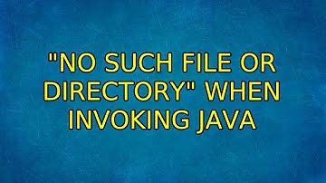 "No such file or directory" when invoking java (2 Solutions!!)