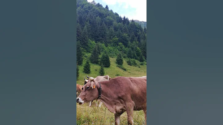 31 maggio 2021