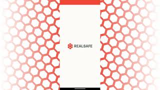 5. RealSafe Tutorial - SPA as an Operative screenshot 2