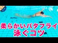 【バタフライ】柔らかい泳ぎ【女子選手に訊いた!】コツ・テクニック
