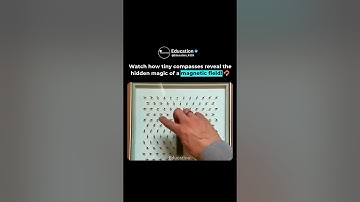 Visualizing the Invisible: Magnetic Fields Revealed #shorts