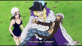 One piece-Law wants to stay with luffy