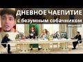 В ондатровый полдень .#МаксГалкин #ФилиппКиркоров и их жена и немношк о #СергейЛазарев !