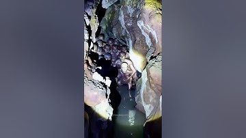 What secrets lie in the shadows? #hiddenworld #mysteriousfigures #scary