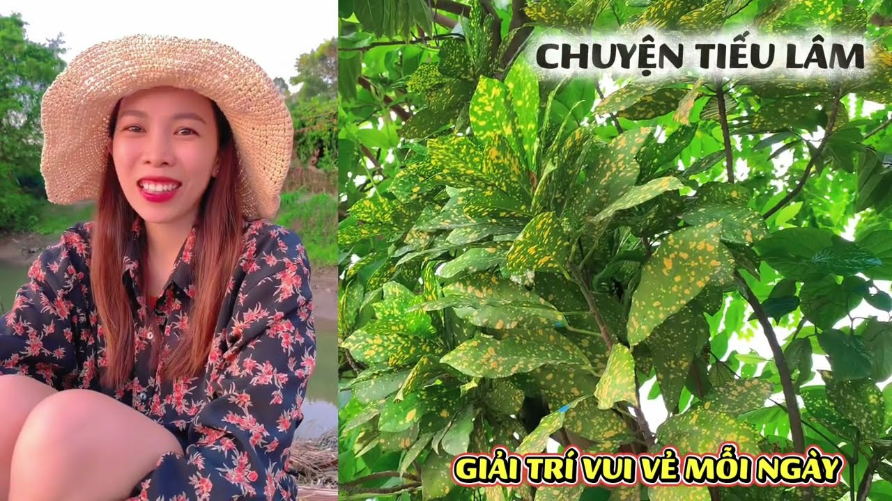 Chuyện cười tiếu lâm hay nhất, những tình huống khó đỡ cực hài nghe vui vẻ giải trí