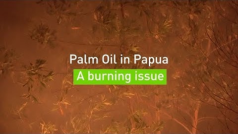 Burning Paradise an Investigation