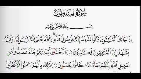 (63) سورة المنافقون | شيخ الزين محمد احمد