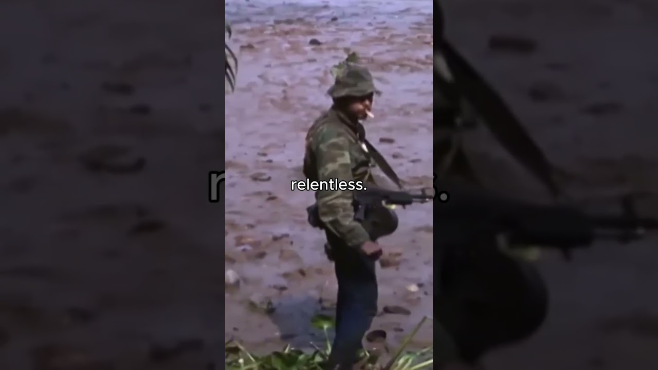 Морские котики в джинсах и колготках во Вьетнаме