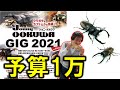 【ご予算：１０,０００円】昆虫即売にいったらメッチャ求めていたクワカブに出会えた