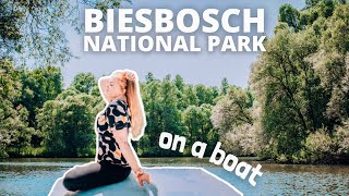 Biesbosch national park boat tour 🚤 Location, prices & beautiful views | Netherlands travel vlog