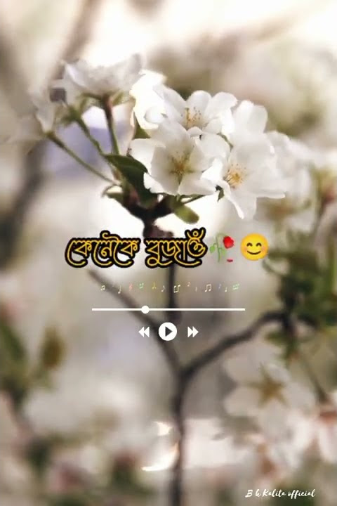 Tumi asa babei asu j moi 💝🥰/assamese love status video ❤️