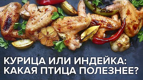 Что лучше грудка курицы или индейки