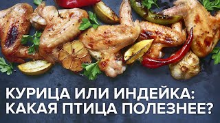 Курица или индейка: какая птица полезнее для здоровья молодых?