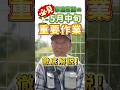 家庭菜園や農園の夏野菜栽培で5月中旬の重要作業3選！【農家直伝】#shorts