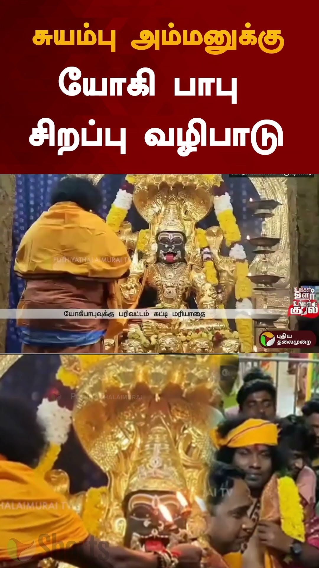 சுயம்பு அம்மனுக்கு யோகி பாபு சிறப்பு வழிபாடு | #shorts | #krishnagiri | #yogibabu