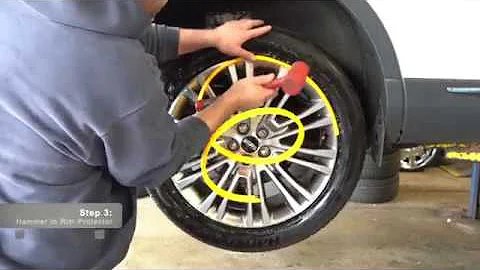 Rim Protector System