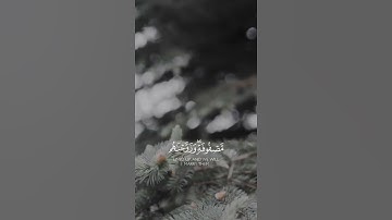 قران كريم | بصوت القارئ طارق محمد | حالات واتس اب♥♥.