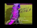 Wholesale Cheap High Quality Inflatable Seahorse Costume Wholesale Cheap High Quality Inflatable Seahorse Costume