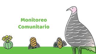 Monitoreo comunitario - Codorniz