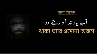 থাক আর এসোনা স্মরণে  Ab Yaad Na Aao Rehne Do | Bangla Subtitle | @Halal Onubad