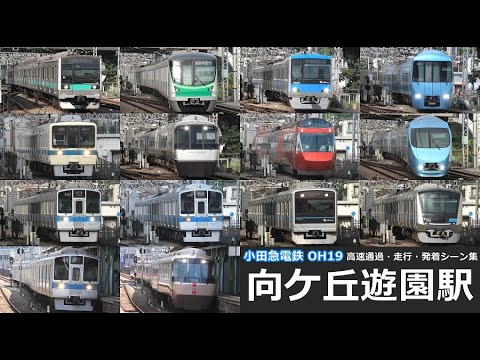 【小田急線向ヶ丘遊園駅　高速通過・走行・発着シーン集】向ヶ丘遊園駅で小田急小田原線車両の高速通過・走行・発着シーンを満喫！！