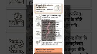 Annelida (Segmented Worms) | Class 11 Biology Quick Revision Short  #neetprep #class11biology