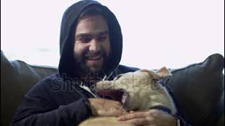 stock footage man petting dog on couch happy games with animals