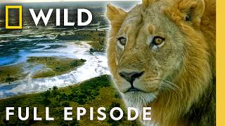 Inside the Transformation of the Okavango Delta (Full Episode) | The Flood: Part 2 | Nat Geo Animals