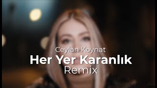 Ceylan Koynat - Her Yer Karanlık ( Murat Yaran Remix )