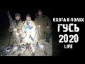 Охота на гуся.2020.Весна.Маскировка.Чучела.Манки.