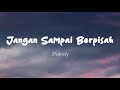 Shandy - Jangan Sampai Berpisah (Lirik)