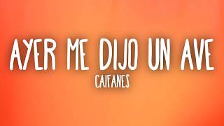 Versión 3 del video