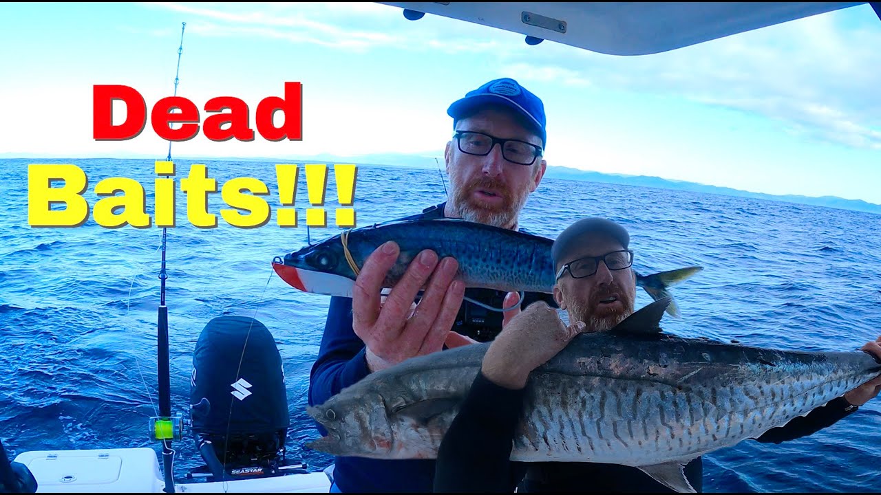 It's Dead Bait Time!!! Trolling Rigged Dead Baits To Catch Fish (Spanish Mackerel/King Mackerel