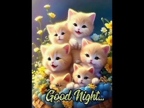 cute good night