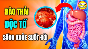 Đào Thải Độc Tố Phòng Tránh Ung Thư Sống Khỏe Suốt Đời - Sức Khỏe Tràn Đầy