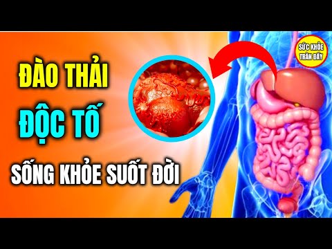 Video: Khu nghỉ mát trượt tuyết Pikhtovy ridge: tổng quan, tính năng, vị trí và đánh giá