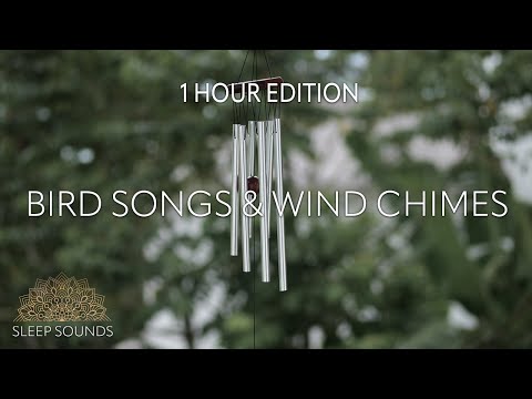 Bird Songs Wind Chimes 1hr Sleep Study Focus Meditation Relaxation Bird Songs Wind Chimes 1hr Sleep Study Focus Meditation Relaxation